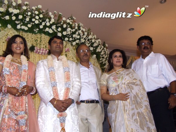 Meena Wedding Reception