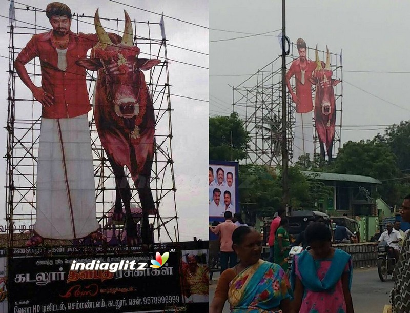 Thalapathy Vijay fans Mersal Celebration