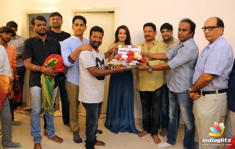 Siddharth, Catherine Tresa's New Movie Pooja