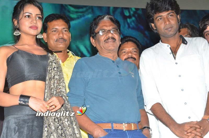 'Valayal' Audio Launch