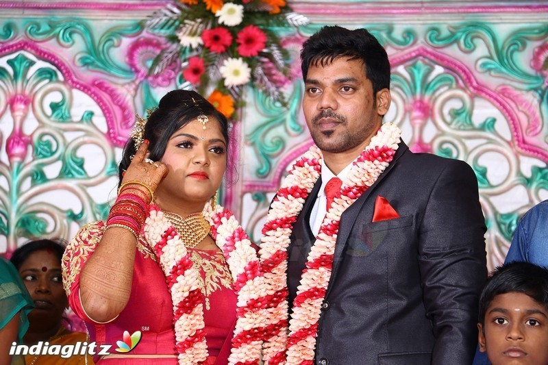 Actor Vasu Vikram's Daughter Vasugi Wedding Reception Stills