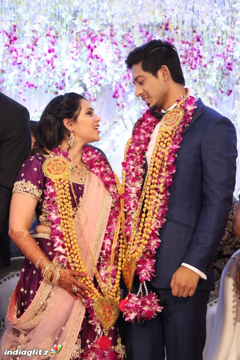 Vishal's Sister Aishwarya Wedding & Reception