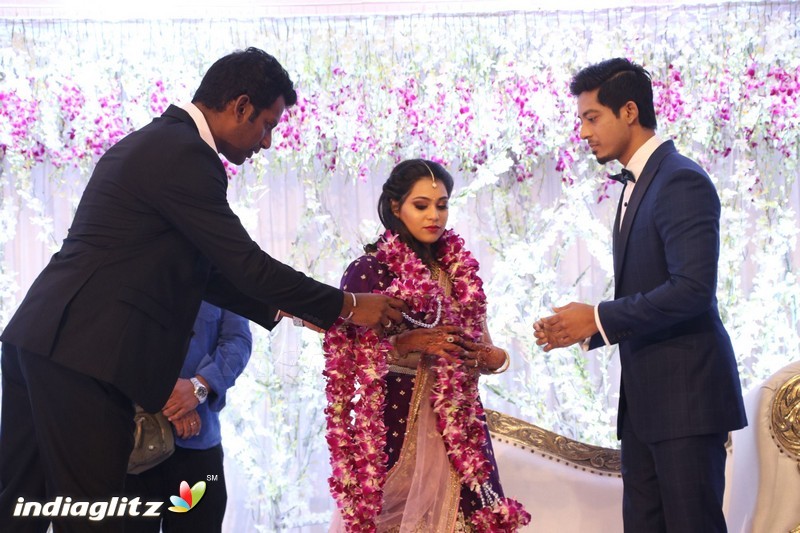 Vishal's Sister Aishwarya Wedding & Reception