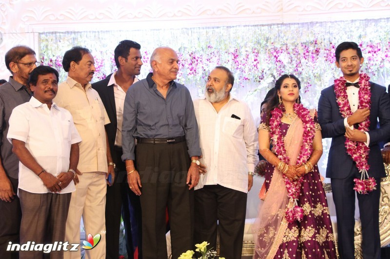 Vishal's Sister Aishwarya Wedding & Reception