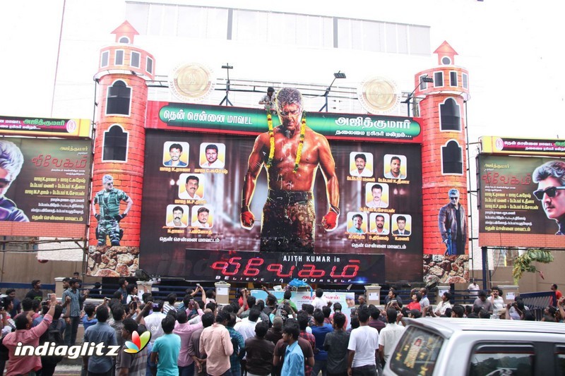 Vivegam Movie Fans Celebration in Chennai Kasi Theater