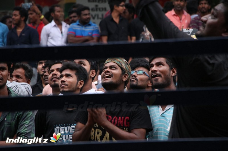 Vivegam Movie Fans Celebration in Chennai Kasi Theater