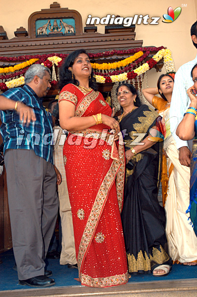 Wedding Reception - Vikram And Lakshmi Ujjaini