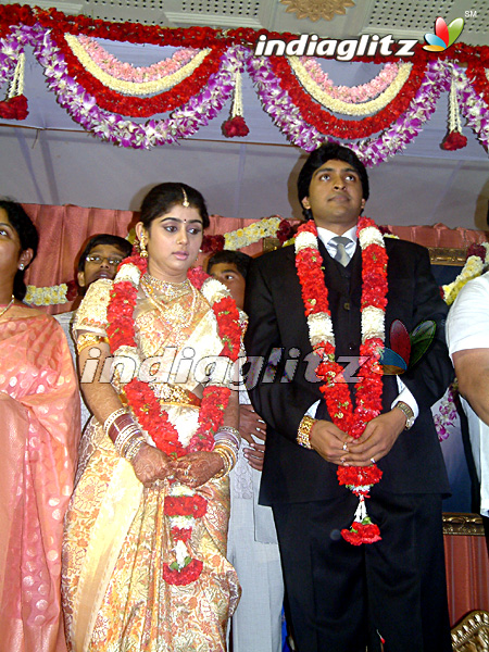 Wedding Reception - Vikram And Lakshmi Ujjaini