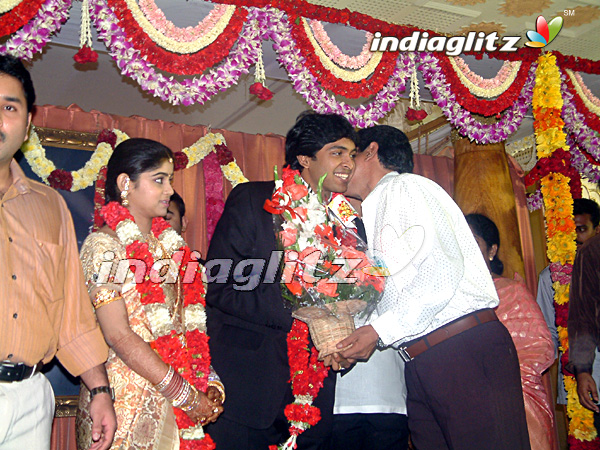 Wedding Reception - Vikram And Lakshmi Ujjaini