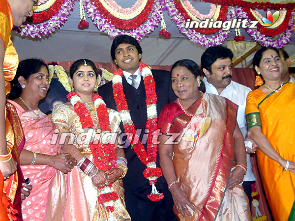 Wedding Reception - Vikram And Lakshmi Ujjaini