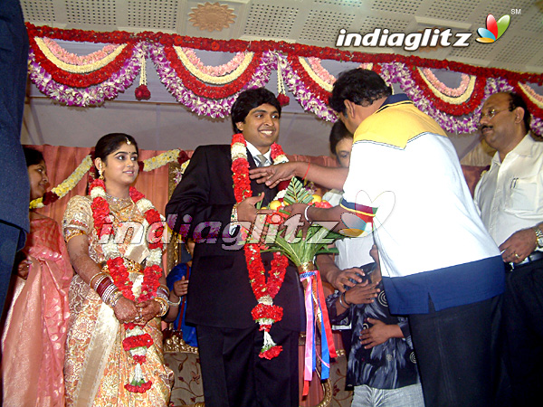 Wedding Reception - Vikram And Lakshmi Ujjaini