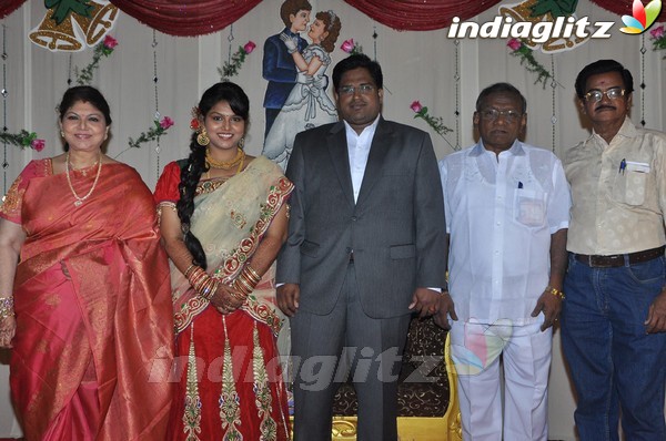 Y Vijaya Daughter Wedding Reception