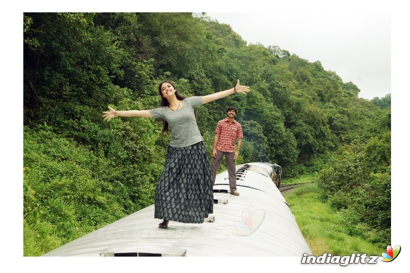 Thodari