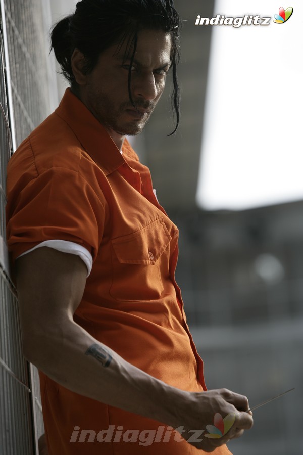 Don 2