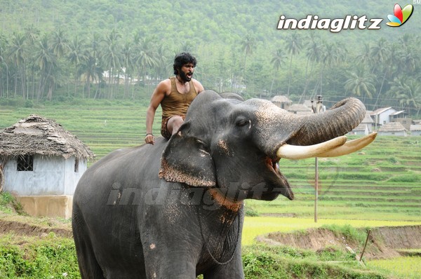 Kumki