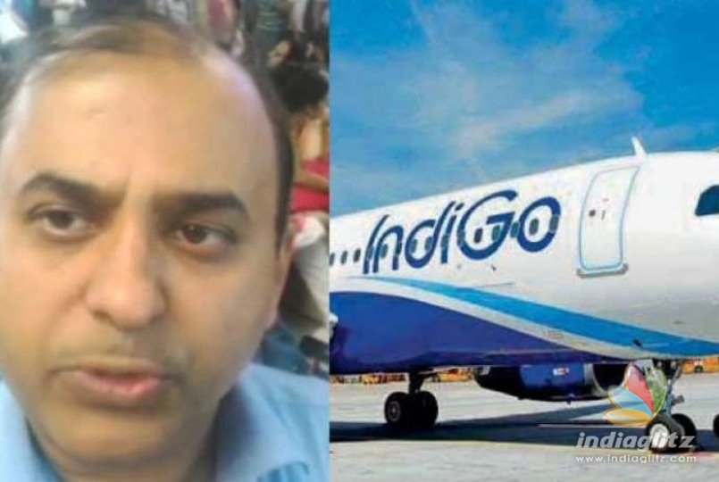 Doctor let off from IndiGo flight after mosquito complaint