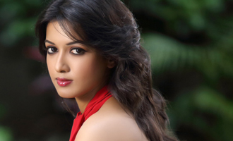 Catherine Tresa and Vishnu starrer 'Veera Theera Sooran' Begins