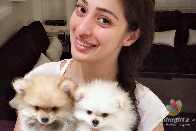 Raai Laxmi announces that she has become a grandmother 