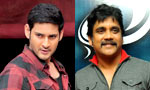 Mani Ratnam drops the Nagarjuna-Mahesh Babu project