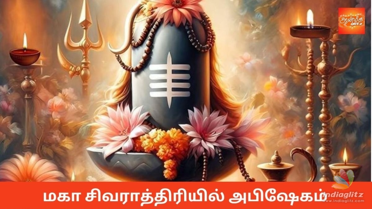 மகா சிவராத்திரியில் ராசிக்கேற்ப அபிஷேகம்: உங்கள் ராசிக்கு எது சிறந்தது?