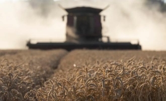 UK Agriculture in Crisis: Severe Weather Threatens Food Security and Prices