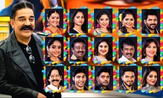 Bigg Boss 3 contestants profile