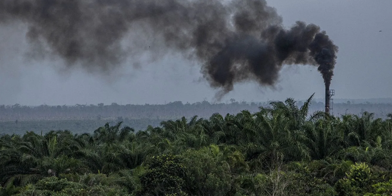 கொரோனா பூமிக்குக் கொடுத்த வரம்!!! Co2 வின் அளவு 8% குறைந்திருக்கிறது!!!