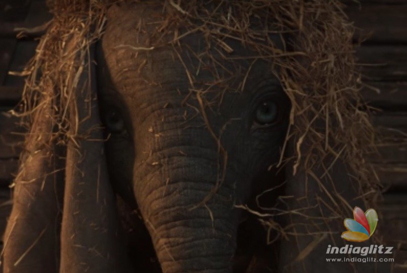 Cuteness Overloaded ! The flying baby elephant Dumbo trailer is here