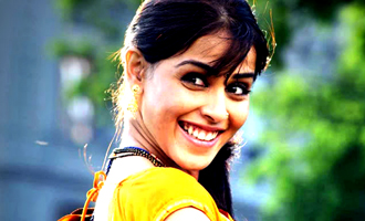 Genelia's family to get a new member