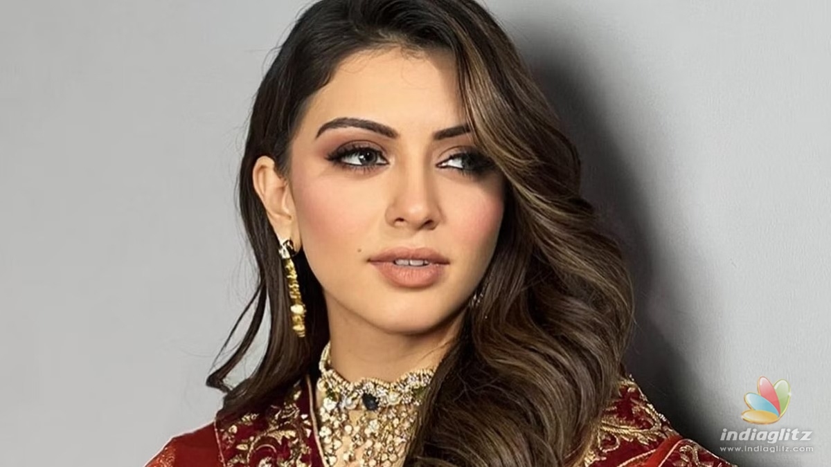 Did top hero sexually harass Hansika Motwani ? 