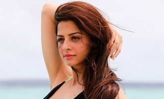 Vedhika joins KS Ravikumar's next!