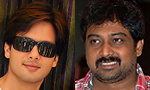 Lingu to direct Shahid Kapoor for 'Vettai'!