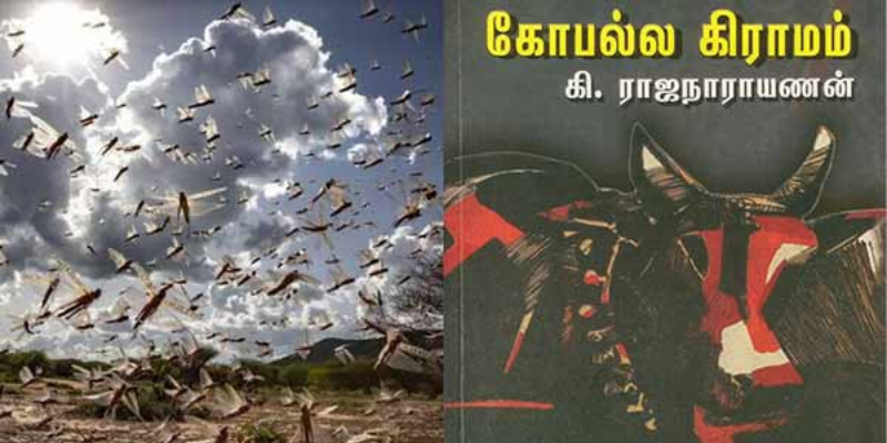 இதற்குமுன் தமிழகத்தை வெட்டுக்கிளிகள் தாக்கியிருக்கிறதா??? வரலாறு என்ன சொல்கிறது???