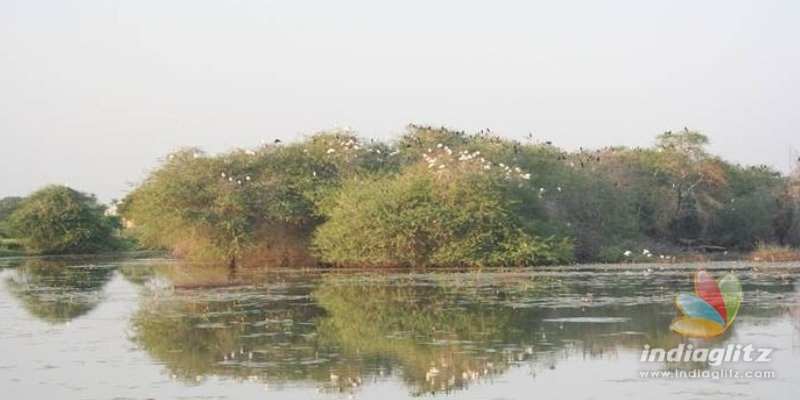 பறவைகளுக்காக… 48 வருடங்களாக பட்டாசு வெடிக்காத கிராமம்… மாவட்ட ஆட்சியர் பாராட்டு!!!