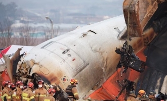 South Korea Plane Crash: Bird Strike Leads to Tragic Loss of 179 Lives  