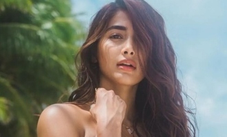 Is Pooja Hegde dating a veteran hero 24 years older than her? - Fans shocked