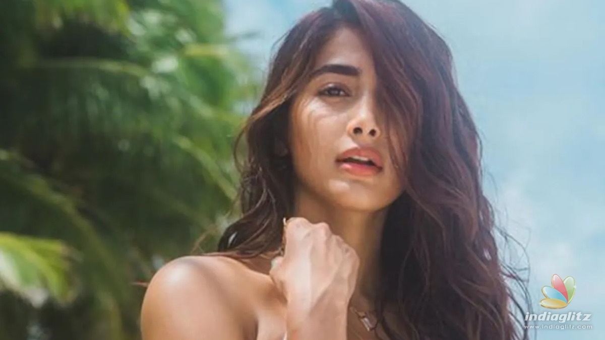 Is Pooja Hegde dating a veteran hero 24 years older than her? - Fans shocked