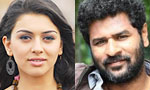 Hansika denies affair with Prabhu Deva