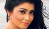 It's Prithviraj-Shriya in 'Hero'