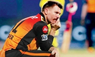 IPL 2021 T20 League World Cup Sunrisers Hyderabad Australia Opener David Warner Instagram Reply Leaves SRH