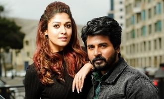 Mr Local Review