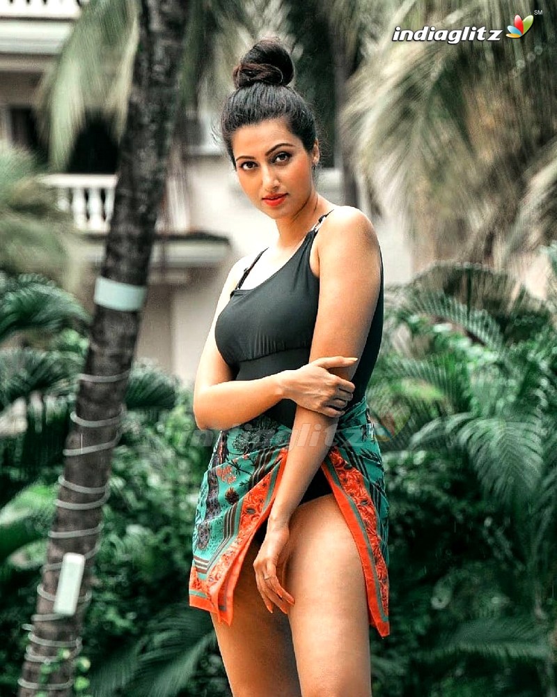 Hamsa Nandini