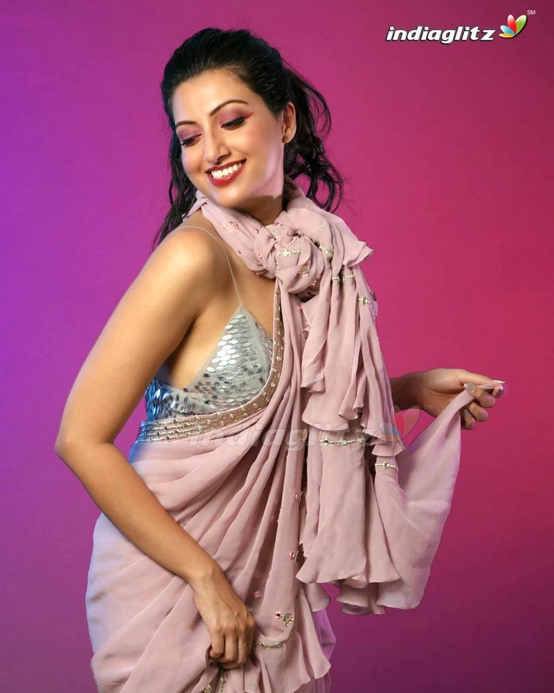 Hamsa Nandini