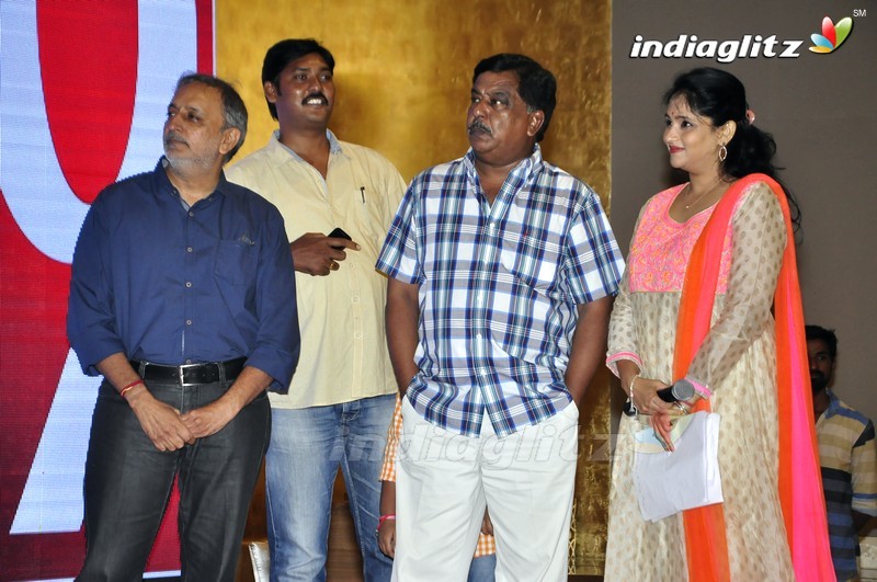 '100 Days Of Love' Audio Launch (Set-1)