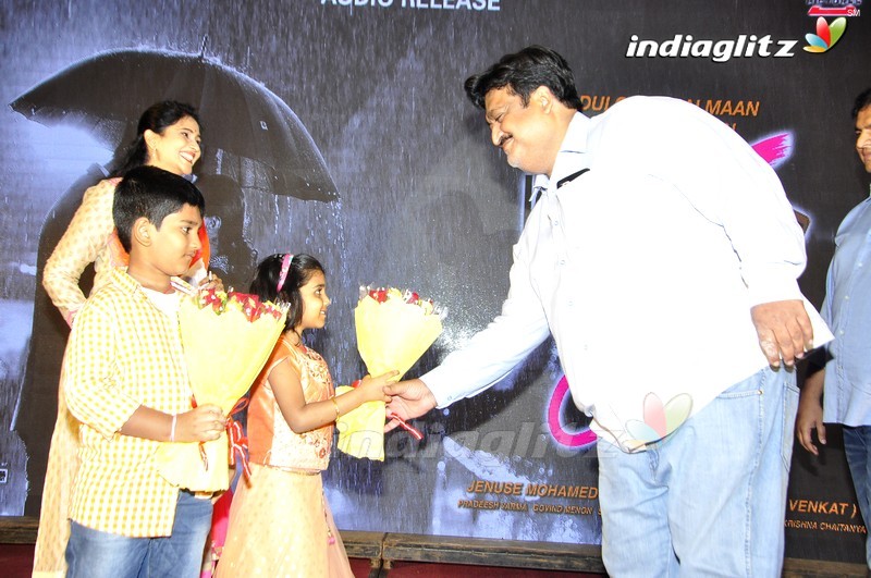 '100 Days Of Love' Audio Launch (Set-2)