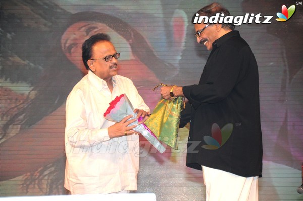 'Greekuveerudu' Audio Launch (Set-3)