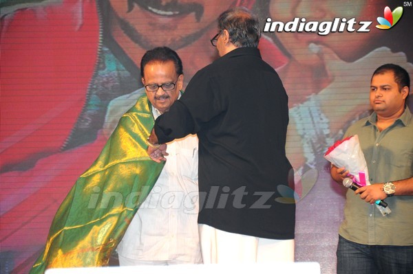 'Greekuveerudu' Audio Launch (Set-3)