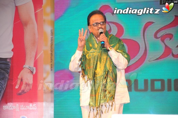 'Greekuveerudu' Audio Launch (Set-3)