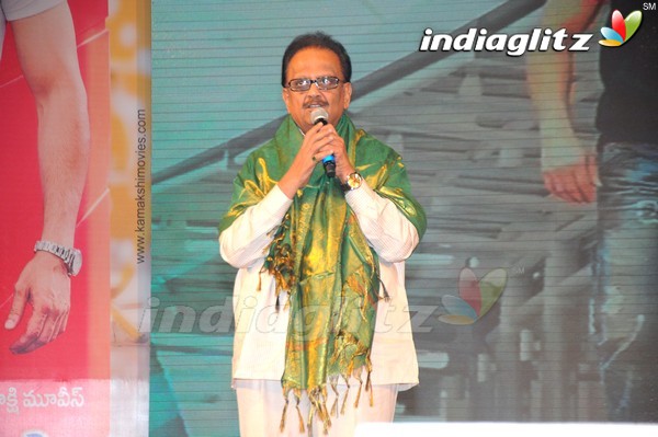 'Greekuveerudu' Audio Launch (Set-3)