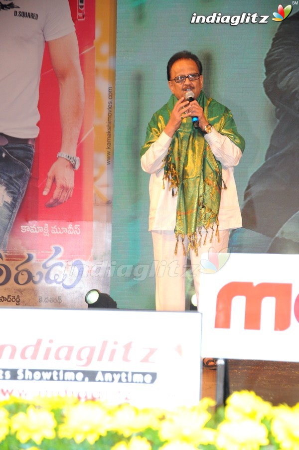 'Greekuveerudu' Audio Launch (Set-3)